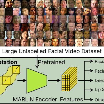 Overview of the proposed Masked Autoencoder for facial Representation... | Download Scientific ...