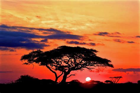 Serengeti Sunset Photograph by Linda Groom - Pixels