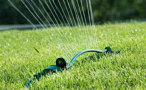 Lawn Watering and Irrigation - A Beginner's Guide | Trees.com