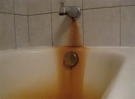 How To Remove Rust From Bathtub, Toilet or Sink Easy DIY | RemoveandReplace.com