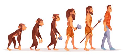 Evolución del Hombre 】 ★ Concepto y Etapas ★