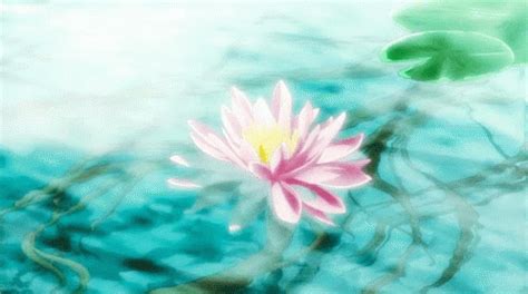 Lotus Anime GIF - Lotus Anime Bath - Discover & Share GIFs