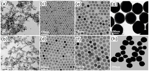 Materials | Free Full-Text | Fe3O4 Nanoparticles in Targeted Drug/Gene ...