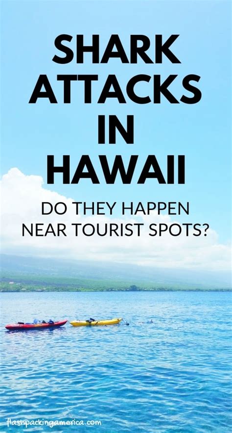 Shark attacks in Hawaii 🦈 Do they happen near tourist beaches? 🦈🌴 Maui ...