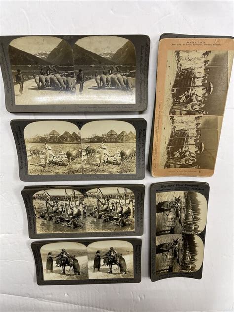 Lot 51 Stereograph Antique Keystone Travel Foreign Land Agrarian Scene animals | eBay