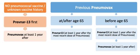 QUESTION: What and when to get a pneumonia shot for 65 and older? > Kelley-Ross Pharmacy Group