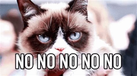 No GIF - Grumpy Cat Cat No - Discover & Share GIFs