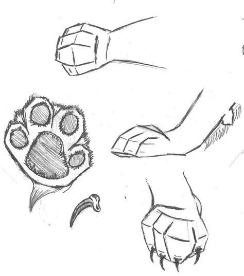 Free Cat Paw Drawing, Download Free Cat Paw Drawing png images, Free ClipArts on Clipart Library