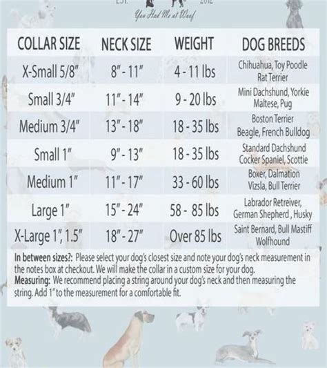 Dog Collar Size Chart for You Had Me at Woof Dog Collars | Diy dog ...