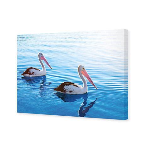 Pelican Pair Canvas Art exclusive at Wall Art Designs