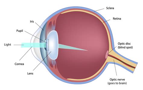 Costco Eye Exam La Quinta