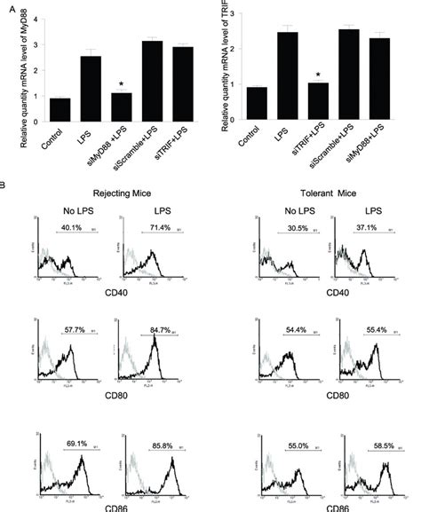 MyD88 and TRIF gene silencing in vivo. (A) Expression of MyD88 and TRIF... | Download Scientific ...