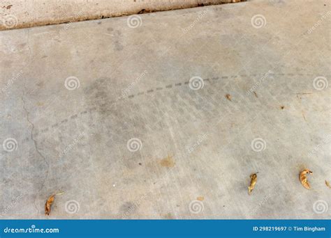 Oil or Chemical Stain on the Concrete Stock Image - Image of chemical, design: 298219697