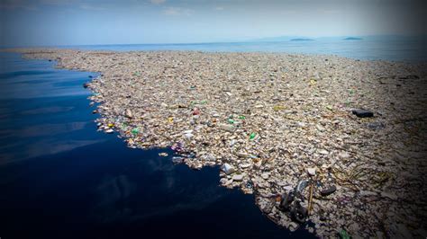 How venture capital can help stem the flow of ocean plastic waste – Circular Solutions