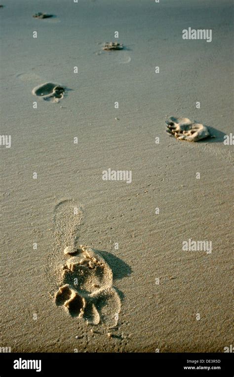 Footprints in the sand beach Stock Photo - Alamy