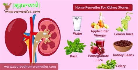 Home Remedies To Treat Kidney Stones | How to Remove Kidney Stones Naturally