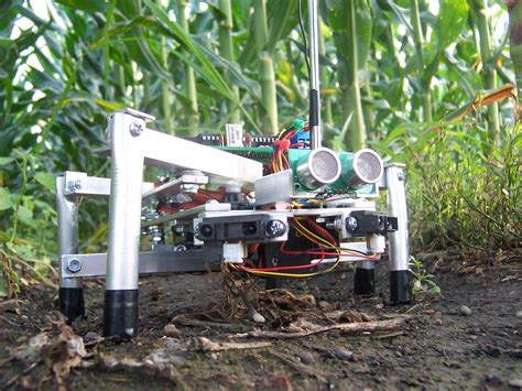 Robotic Farm Workers Will Soon Take Over Farming Tasks
