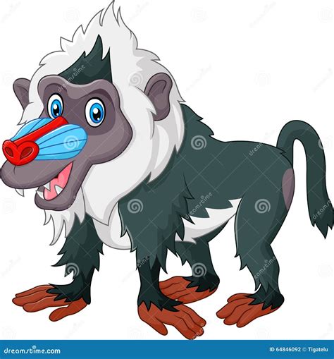 Cute Baboon Isolated on White Background Stock Vector - Illustration of mandrill, furry: 64846092