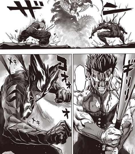 Garou y Metal Bat vs. Ciempiés Ermitaño | One Punch-Man Wiki | Fandom