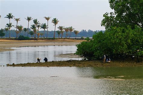 Into The Wild: Pulau Hantu | Hantu Blog