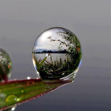 Water droplet reflection | ZEN--PATHWAY TO HEAVEN! | Pinterest ...