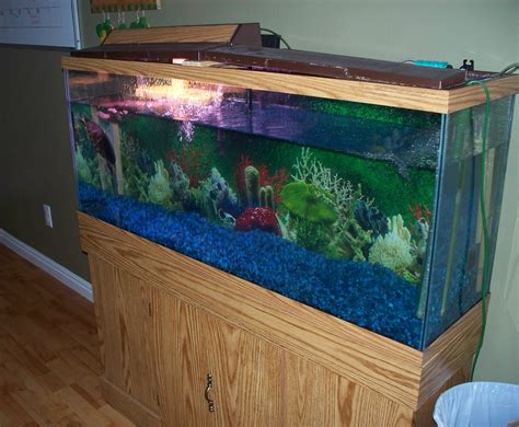 6 gallon fish tank Clickurdesign: 30 gallon high fish tank - ISBAGUS