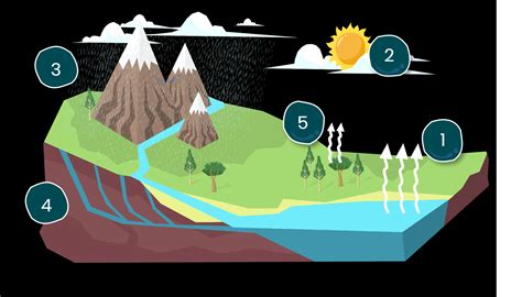 d) Groundwater e) Water eyele 77. colore Q4. Draw labelled diagram of water cycle in natur