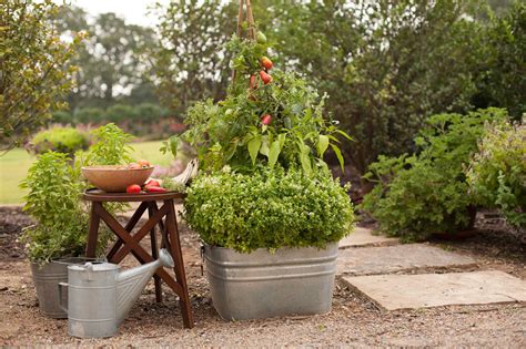 Vegetable Gardening In Containers – P. Allen Smith