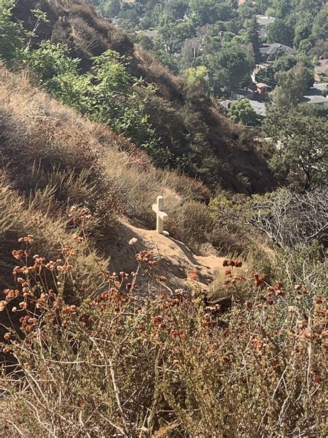 Altadena Crest Trail - California | AllTrails