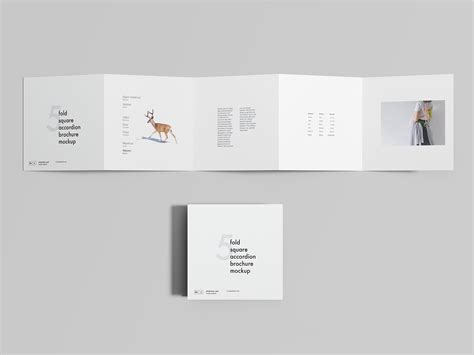 5 Fold Square Accordion Brochure Mockup