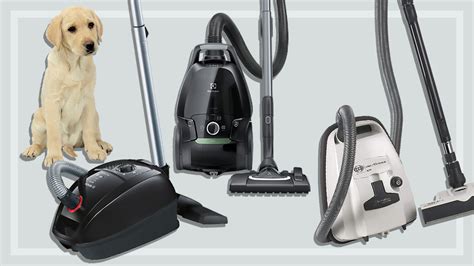 Best Vacuum Cleaner For Pet Hair 2024 - Jamima Catharine