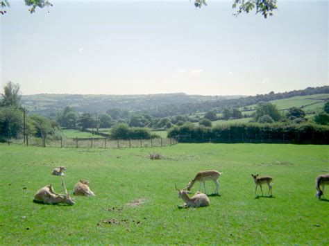 Riber Castle Wildlife Park - mid-1990s | ZooChat