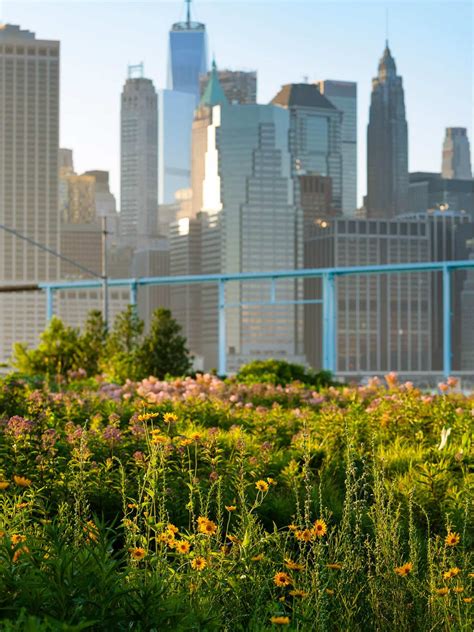 Brooklyn Bridge Park Conservancy Announces New Board Member Karen Snow ...