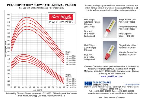 Peak Expiratory Flow Chart | Templates at allbusinesstemplates.com