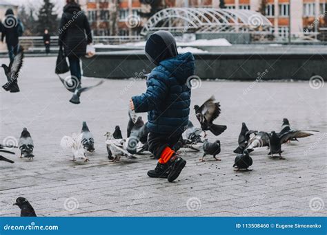 Boy Feeding Pigeons in the Park. Happy Kid Outdoor Stock Photo - Image of child, domestic: 113508460