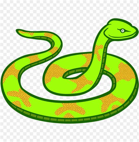 Snake Clipart - Snake Clipart Png Images Transparent Snake Clipart Image Download Pngitem - We ...