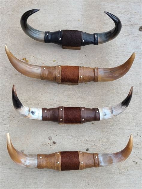 Longhorn Steer Horns for sale | Only 2 left at -60%