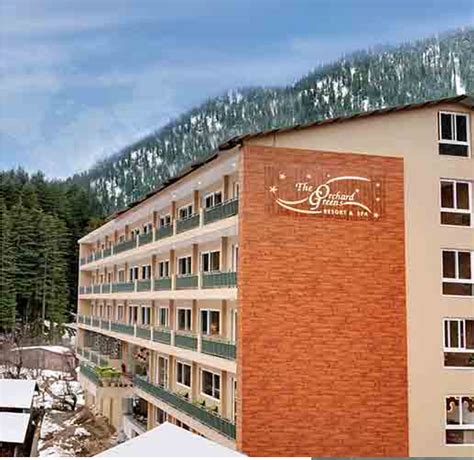 Amazing Hotels In Manali That Will Make Your Vacation A Fantastic One ...