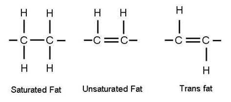 Optimal Health Source: Trans fats 101