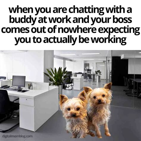 50+ Funny Coworker Memes To Share With Work Friends