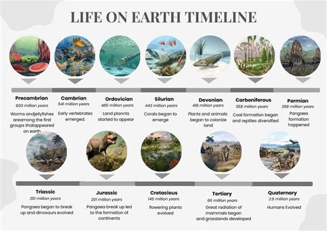 Earth Timeline Chart in Illustrator, PDF - Download | Template.net