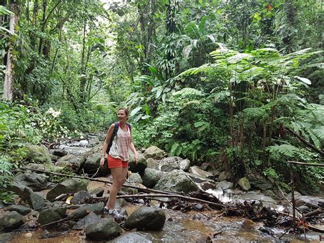 A St Lucia Rainforest Tour is the best way to start your island adventure. Read on to learn ...