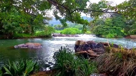 Mahaweli River Drone Video, Kandy, Sri Lanka - YouTube