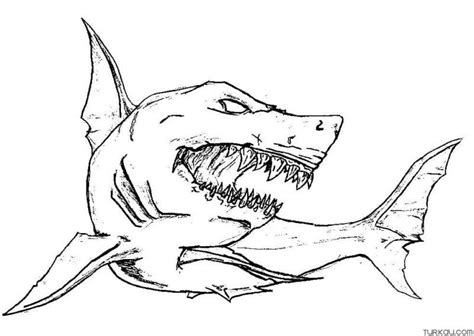 Hammerhead Shark Coloring Page » Turkau