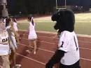 Klein Oak HS Panther Mascot - YouTube