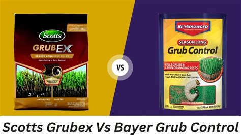 Scotts Grubex Vs Bayer Grub Control – Expert Picks 2023 - Smooth Yard