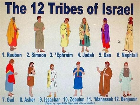 The 12 Sons of Jacob vs. The 12 Tribes of Israel | Sons of jacob, Bible ...