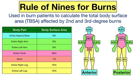 Burn Chart 9s On Clearance | www.gbu-presnenskij.ru