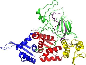 Protein domain identification methods and online resources - Computational and Structural ...