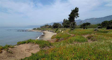 What’s Inside Carpinteria State Beach Campground? – Pixics